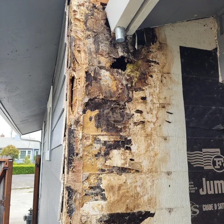 dry rot repair and structural wood repair project